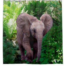 Cortina Para Box Elefante e selva