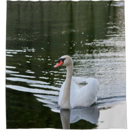 Cortina Para Box Elegant Mute Swan