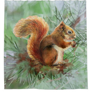 Cortina Para Box Esquilo Vermelho com Aquarela em Árvore Arte Anima
