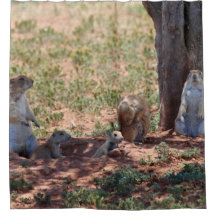 Família de Cães da Pradaria