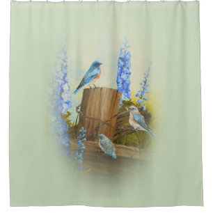 Cortina Para Box Família do Bluebird