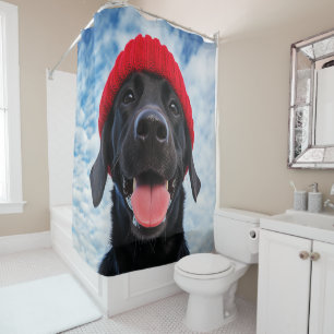 Cortina Para Box Feliz Labrador em um Red Beanie Sob um Céu Azul