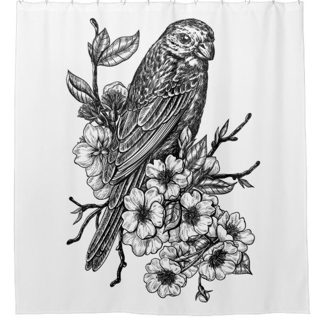 Cortina Para Box Finch no ramo de cereja (Frente)