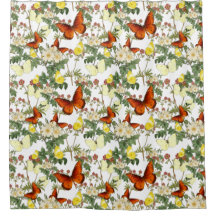 Flor de maçã e borboletas Imagens do Patrimônio