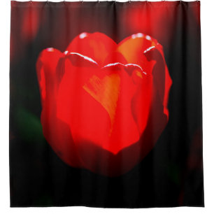 Cortina Para Box Flor de Tulipas Vermelhas - Fogo