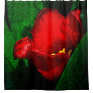 Cortina Para Box Flor De Tulpo Vermelho E Molhado