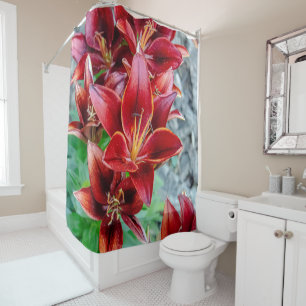 Cortina Para Box Floral Red Stargazer Lily Fotografia