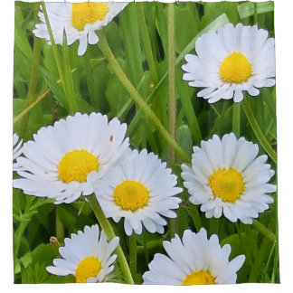 Cortina Para Box Flores de Jardim Selvagem Romênia – Fotografia da