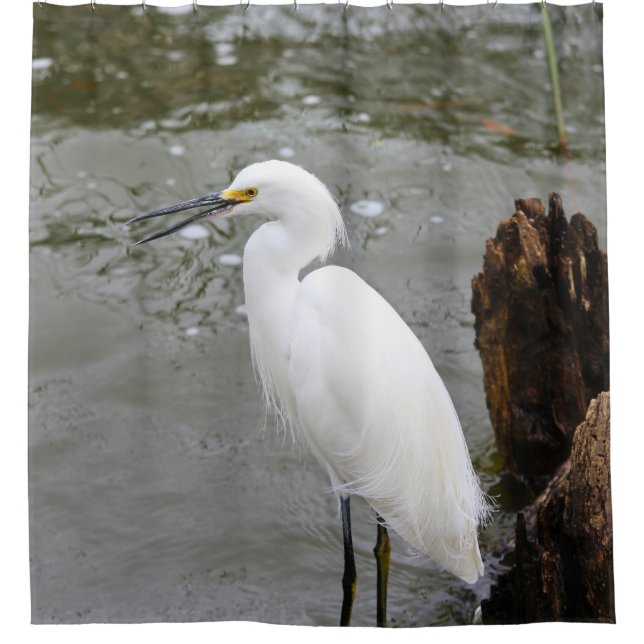 Cortina Para Box Florida's Singing Egret (Frente)