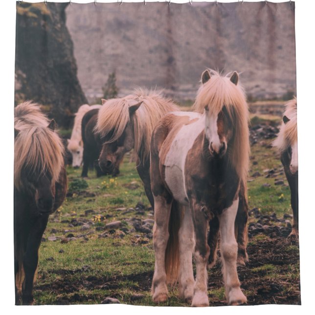 CORTINA PARA BOX FOCUS FOTOGRAFIA DE CAVALOS (Frente)