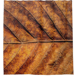 Cortina Para Box Folha seca: fundo natural de textura.