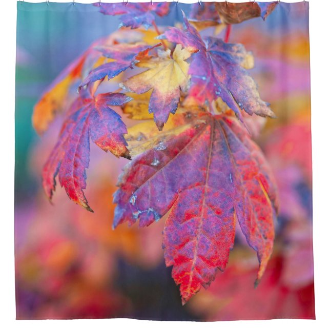 Cortina Para Box Folhas Fascinantes do Mapeamento Japonês (Frente)