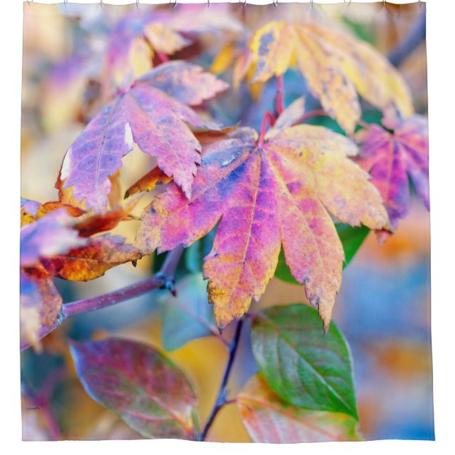 Cortina Para Box Folhas Maiestosas de Maple Japonês (Frente)