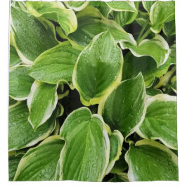 Cortina Para Box folhas verdes