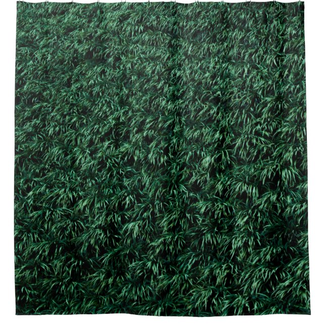 Cortina Para Box Folhas verdes (Frente)