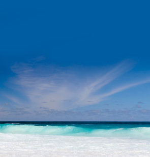 Get Wallpaper Cortinas Para Banheiro Tema Da Praia Zazzle Com Br For Android Free