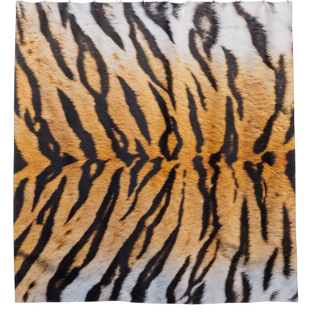 Cortina Para Box Foto de um verdadeiro Tigre Indo-Chinês (Panthera) (Frente)