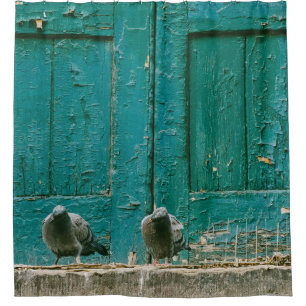 CORTINA PARA BOX FOTO PRÓXIMA DE DOIS PIGEÕES DE CINZA NA CONCRET