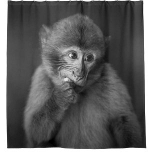 CORTINA PARA BOX FOTOGRAFIA DE FOCO BARATO DE MACACO NEGRO