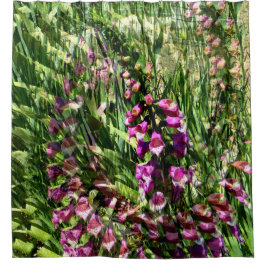 Cortina Para Box Foxglove.....