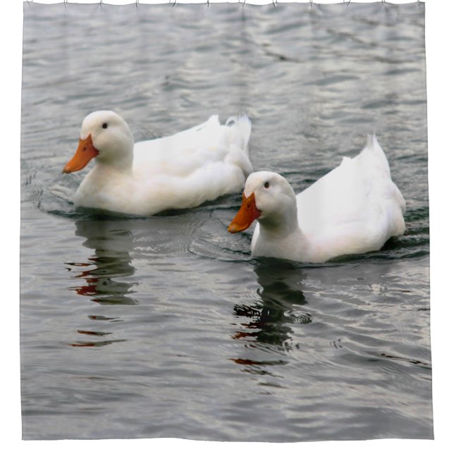 Cortina Para Box Friends For Life (Frente)