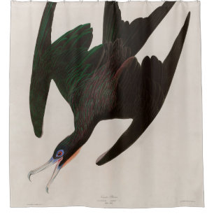 Cortina Para Box Frigate Pelican Birds of America Audubon Impressã