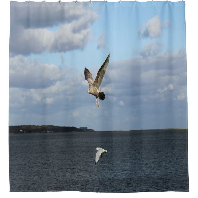 Cortina Para Box Gaivotas em vôo (Frente)