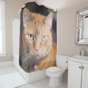 Cortina Para Box Gato