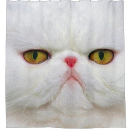 Cortina Para Box Gato branco