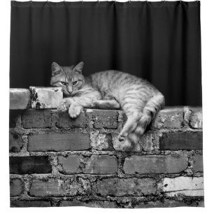 Cortina Para Box Gato na Parede Brick
