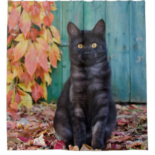 Cortina Para Box Gato Preto Cinto Gato Vermelho Folha Azul Porta / 