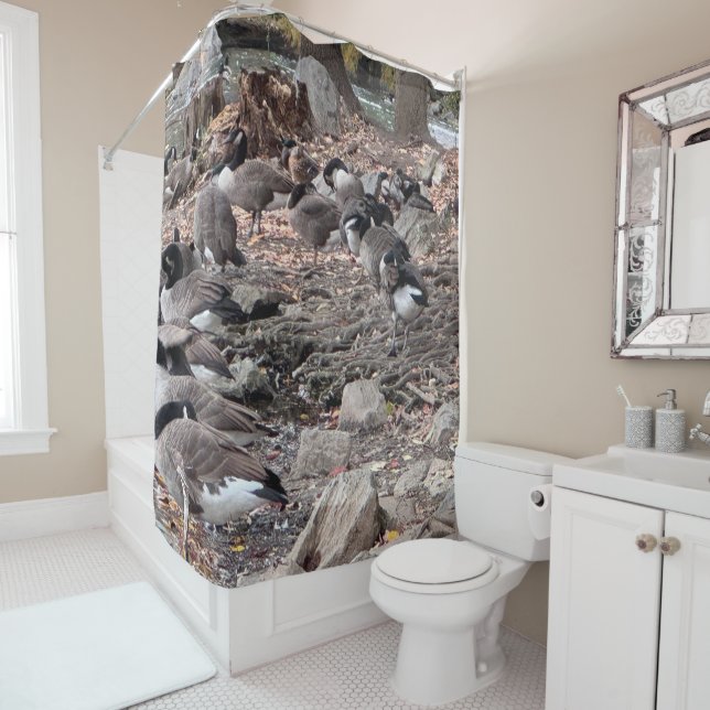 Cortina Para Box Geese in the Park Shower Curtain (In Situ)