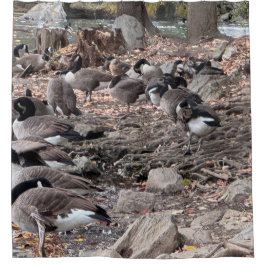 Cortina Para Box Geese in the Park Shower Curtain