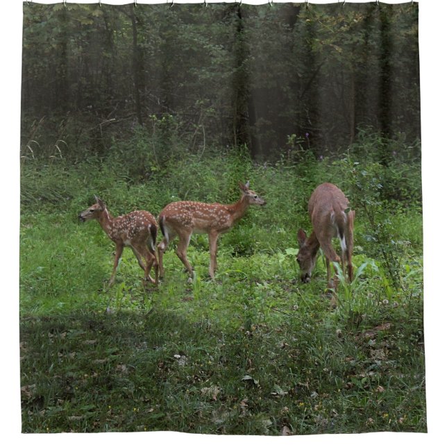 Cortina Para Box Gêmeos e seu Mama (Frente)