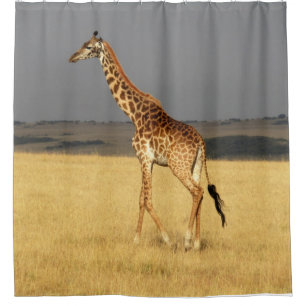 Cortina Para Box Girafa cheio da África Animais Africanos