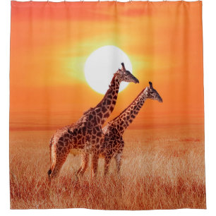 Cortina Para Box Girafa na savana africana contra o backdro