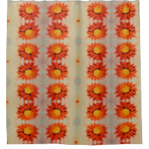 Girassol de laranja vibrante