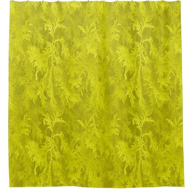 Cortina Para Box Goldenrod (Frente)