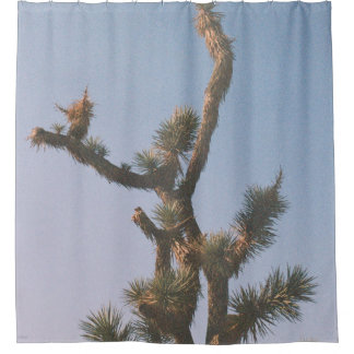CORTINA PARA BOX GREEN AND BROWN TREE UNDER BLUE SKY