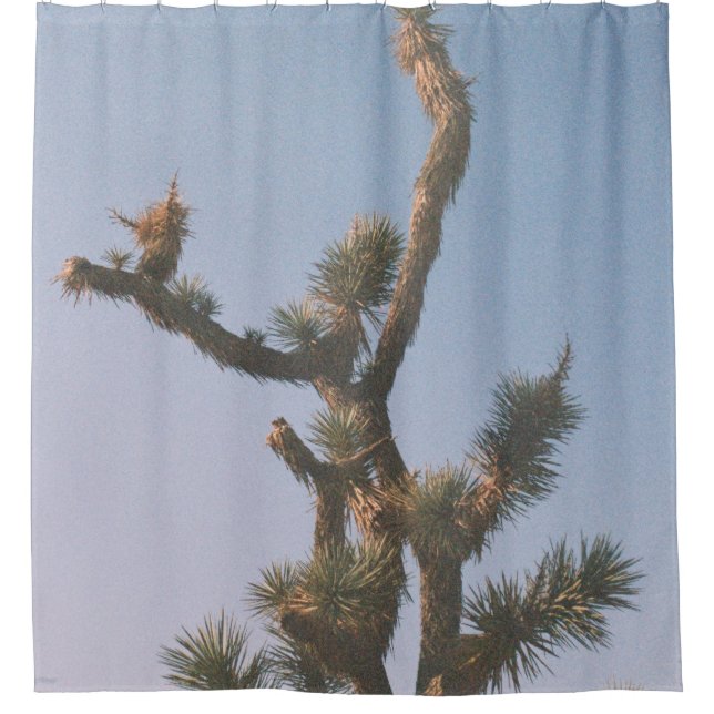 CORTINA PARA BOX GREEN AND BROWN TREE UNDER BLUE SKY (Frente)