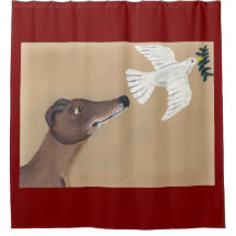 Greyhound e Pombo