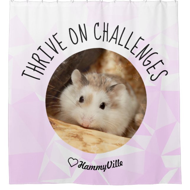 Cortina Para Box HammyVille - Fresco de Hamster e Limpa Apertada (Frente)