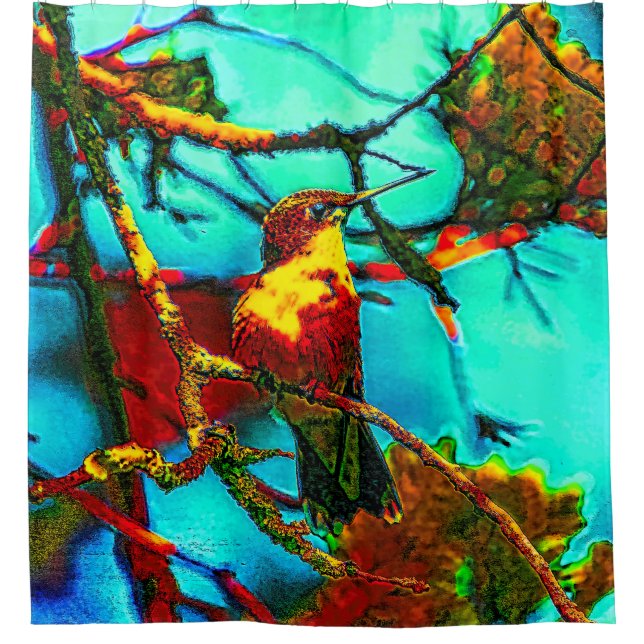 Cortina Para Box Hummingbird Colorido (Frente)