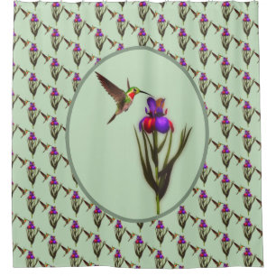 Cortina Para Box Hummingbird E Iris Flower