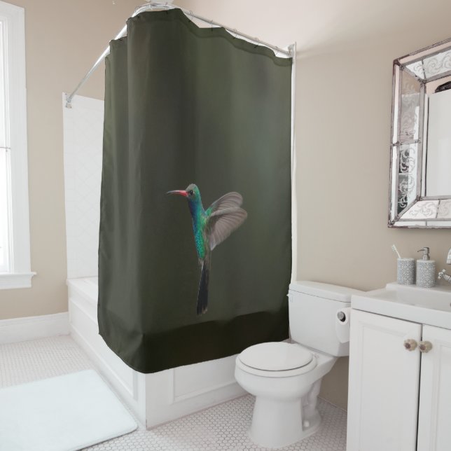 Cortina Para Box Hummingbird em voo (In Situ)