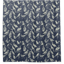 Ilustrações Antigas De Aves Gravações Marinho