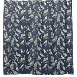 Cortina Para Box Ilustrações Antigas De Aves Gravações Marinho