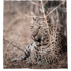 Cortina Para Box Imagem de arte de um leopardo macho ou pântano sel