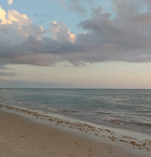 Download Cortinas de cena da praia For Android