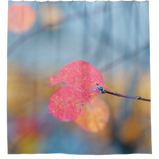 Cortina Para Box Impressionante Folhas de Cotonou (Frente)